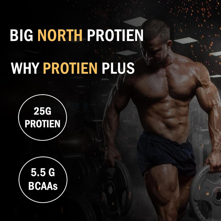 Protein Plus 100% Whey Protein Powder, 25g Protein, 5.5g BCAA, with Free Shaker (500 grams, Double Rich Chocolate) BIG NORTH BNP