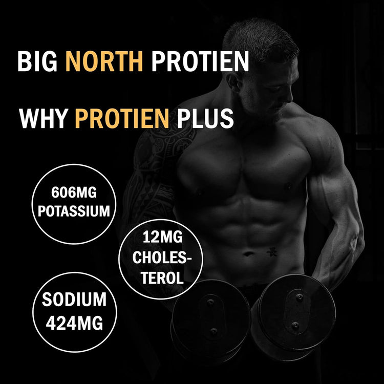 Protein Plus 100% Whey Protein Powder, 25g Protein, 5.5g BCAA, with Free Shaker (500 grams, Double Rich Chocolate) BIG NORTH BNP