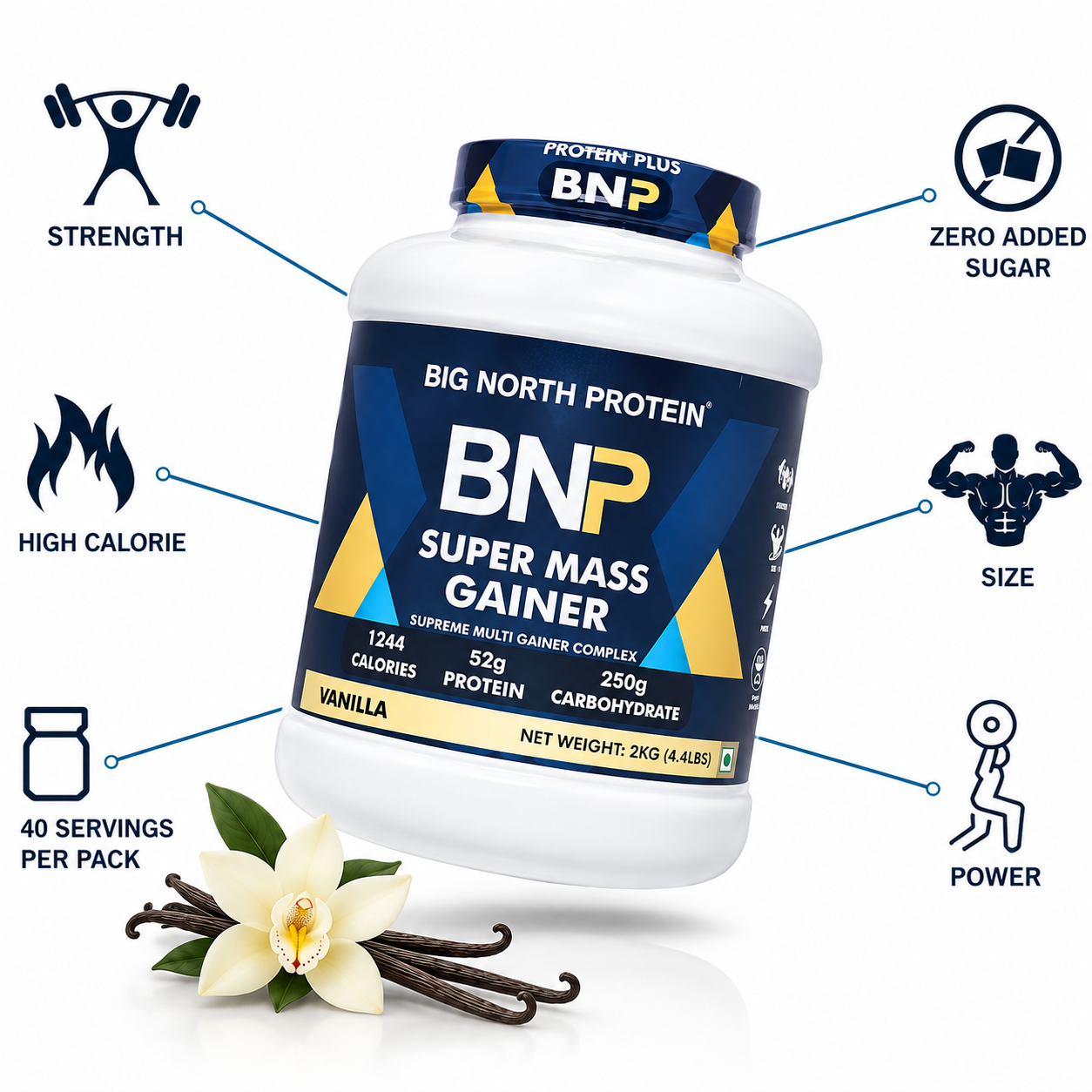 BNP Gainer Vanilla