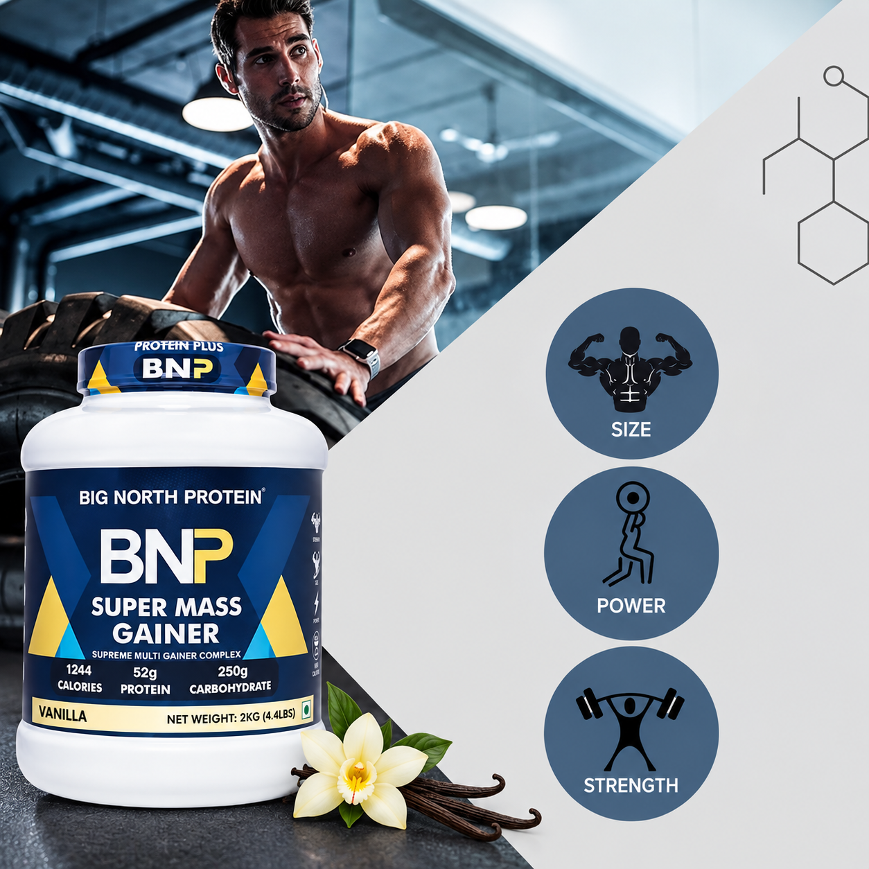BNP Gainer Vanilla