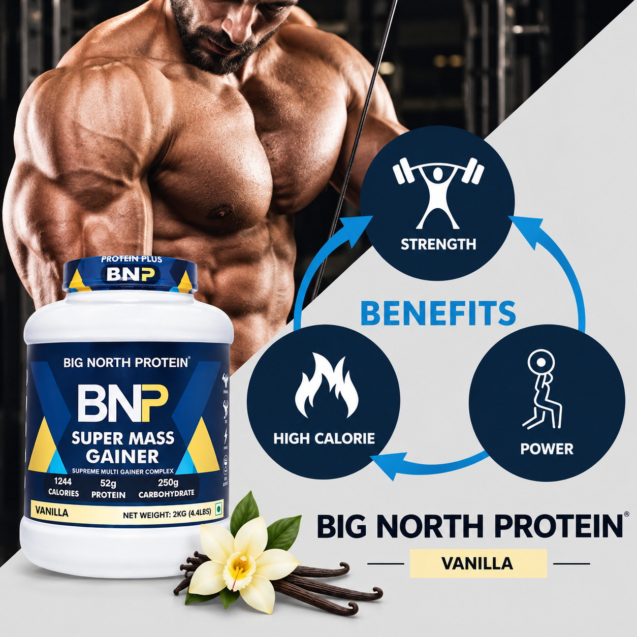 BNP Gainer Vanilla