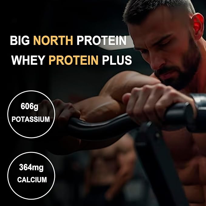 Protein Plus 100% Whey Protein Powder, 25g Protein, 5.5g BCAA, with Free Shaker (500 grams, Vanilla) My Store 