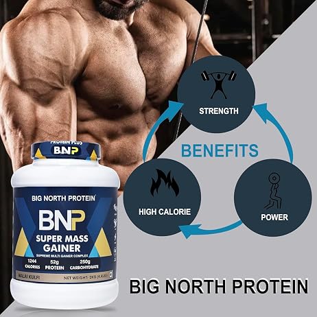 BNP Gainer Malai Kulfi