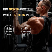 Protein Plus 100% Whey Protein Powder, 25g Protein, 5.5g BCAA, with Free Shaker (500 grams, Vanilla) My Store 
