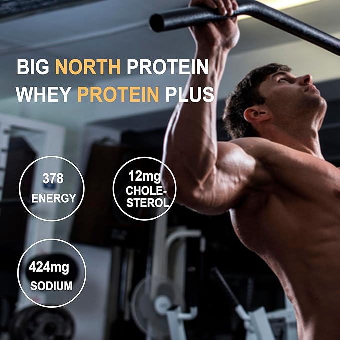 Protein Plus 100% Whey Protein Powder, 25g Protein, 5.5g BCAA, with Free Shaker (500 grams, Vanilla) My Store 
