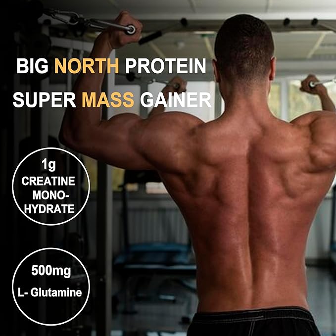 Super Mass Gainer, 52g Protein, 250g Carbohydrate, 1244 Calories, (500Grams) (Vanilla) With Free Shaker