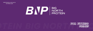 BIG NORTH PROTEIN HEALTHCARE PRIVATE LIMITED